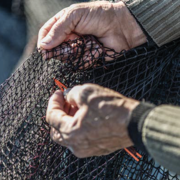 Mostra de destresa marinera i gastronomia