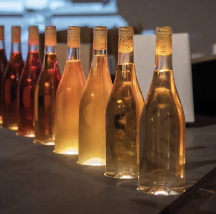 Visita guiada a SIMPOSI